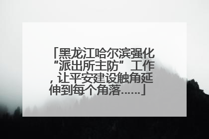 黑龙江哈尔滨强化“派出所主防”工作，让平安建设触角延伸到每个角落……