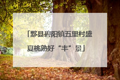 黟县碧阳镇五里村盛夏桃熟好“丰”景