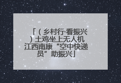 （乡村行·看振兴）土鸡坐上无人机 江西南康“空中快递员”助振兴