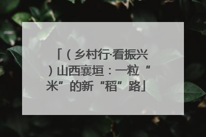 （乡村行·看振兴）山西襄垣：一粒“米”的新“稻”路