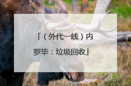 （外代一线）内罗毕：垃圾回收