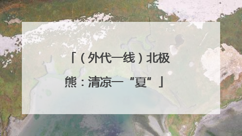（外代一线）北极熊：清凉一“夏”