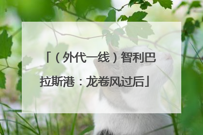 （外代一线）智利巴拉斯港：龙卷风过后