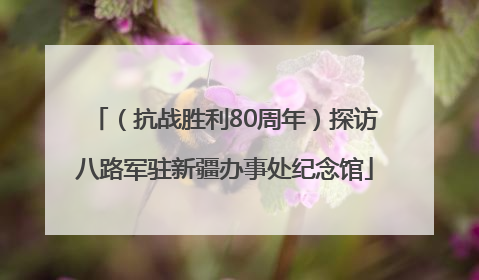 （抗战胜利80周年）探访八路军驻新疆办事处纪念馆