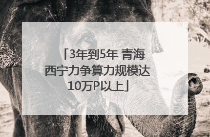 3年到5年 青海西宁力争算力规模达10万P以上