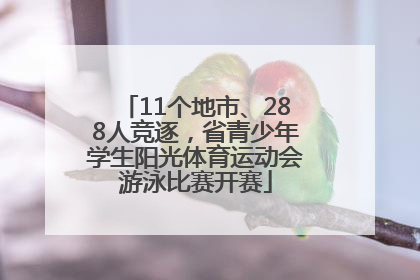 11个地市、288人竞逐，省青少年学生阳光体育运动会游泳比赛开赛