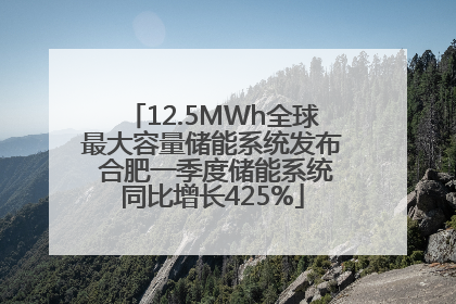 12.5MWh全球最大容量储能系统发布 合肥一季度储能系统同比增长425%