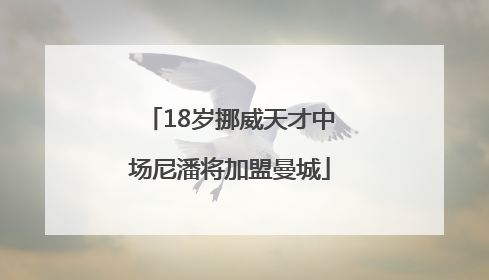 18岁挪威天才中场尼潘将加盟曼城