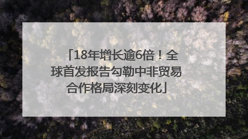 18年增长逾6倍！全球首发报告勾勒中非贸易合作格局深刻变化