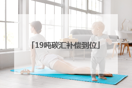 19吨碳汇补偿到位