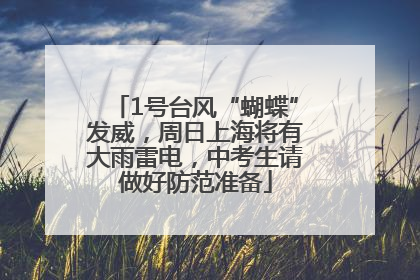 1号台风“蝴蝶”发威，周日上海将有大雨雷电，中考生请做好防范准备