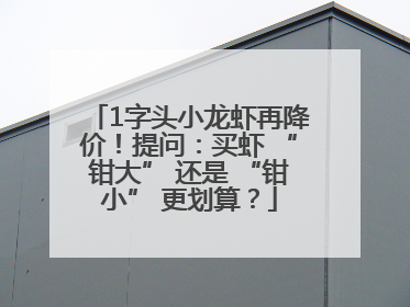 1字头小龙虾再降价！提问：买虾 “钳大” 还是 “钳小” 更划算？