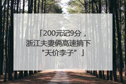 200元记9分，浙江夫妻俩高速摘下“天价李子”