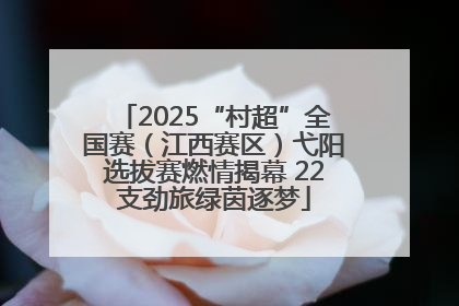 2025“村超”全国赛（江西赛区）弋阳选拔赛燃情揭幕 22支劲旅绿茵逐梦