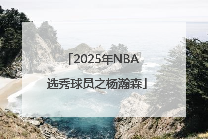 2025年NBA选秀球员之杨瀚森