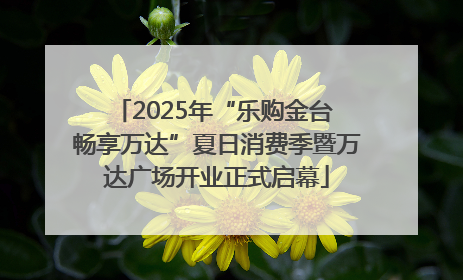 2025年“乐购金台 畅享万达”夏日消费季暨万达广场开业正式启幕