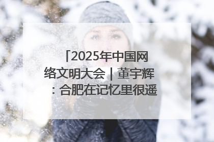 2025年中国网络文明大会｜董宇辉：合肥在记忆里很遥远也很亲切