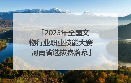 2025年全国文物行业职业技能大赛河南省选拔赛落幕