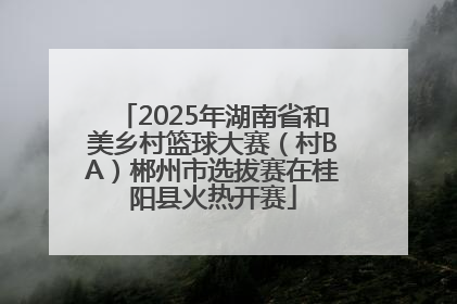 2025年湖南省和美乡村篮球大赛（村BA）郴州市选拔赛在桂阳县火热开赛