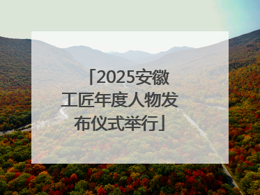 2025安徽工匠年度人物发布仪式举行