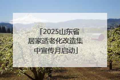 2025山东省居家适老化改造集中宣传月启动