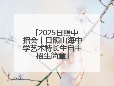 2025日照中招会丨日照山海中学艺术特长生自主招生简章