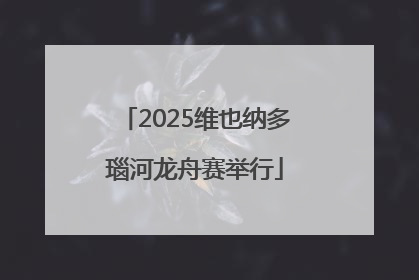 2025维也纳多瑙河龙舟赛举行