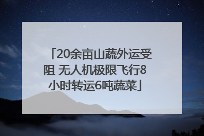 20余亩山蔬外运受阻 无人机极限飞行8小时转运6吨蔬菜
