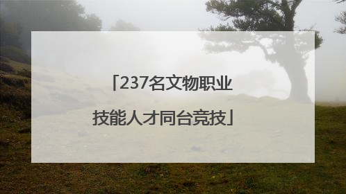 237名文物职业技能人才同台竞技