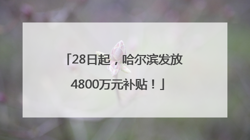 28日起，哈尔滨发放4800万元补贴！