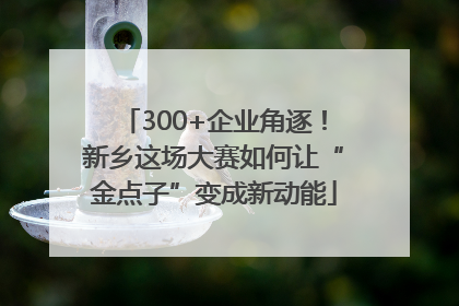 300+企业角逐！新乡这场大赛如何让“金点子”变成新动能