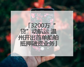 3200万“贷”动航运 温州开出首单船舶抵押融资业务
