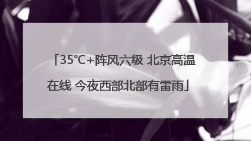 35℃+阵风六级 北京高温在线 今夜西部北部有雷雨