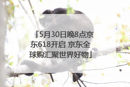 5月30日晚8点京东618开启 京东全球购汇聚世界好物
