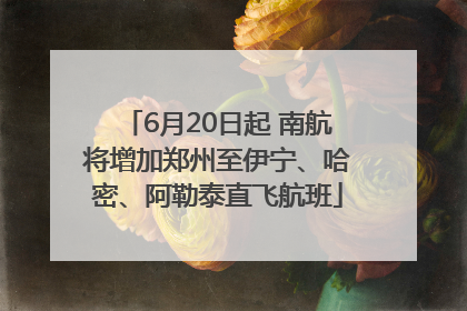 6月20日起 南航将增加郑州至伊宁、哈密、阿勒泰直飞航班
