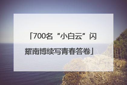 700名“小白云”闪耀南博续写青春答卷