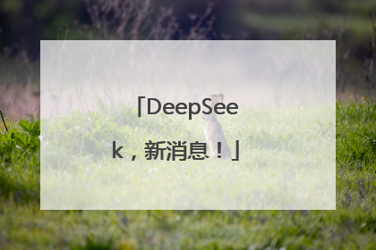 DeepSeek，新消息！