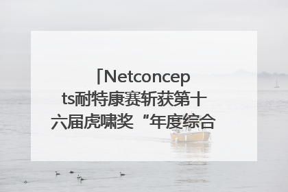 Netconcepts耐特康赛斩获第十六届虎啸奖“年度综合服务商”大奖