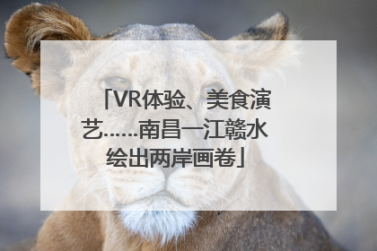 VR体验、美食演艺……南昌一江赣水绘出两岸画卷